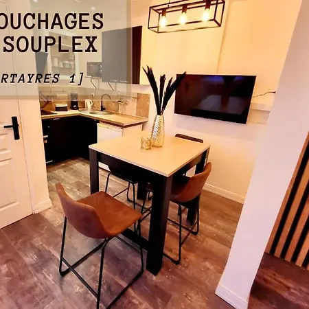 Le Bartayres 1 T3 En Souplex, Terrasse, Daire Lourdes