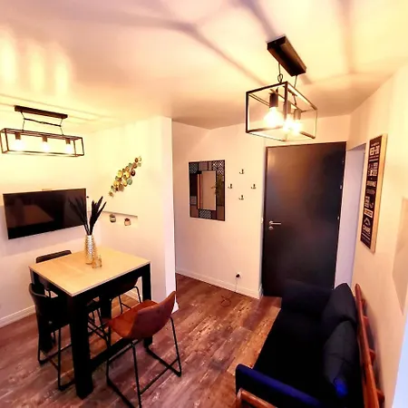Le Bartayres 1 T3 En Souplex, Terrasse, Apartment Lourdes